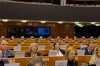 Zamjenica predsjedatelja Zastupničkog doma Borjana Krišto sudjeluje u radu Europskog parlamentarnog tjedna 2020
